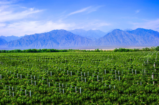 image003.jpg image003.jpg