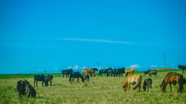 image011 (2).jpg image011 (2).jpg