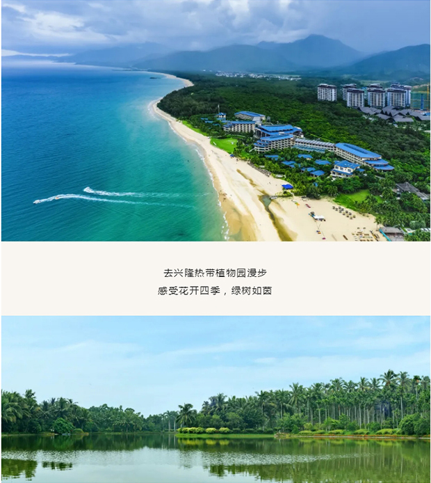 ��¹���¸衶��ҹ���������������100%_11_01.jpg