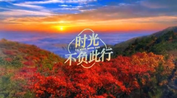 微信截图_20241021092639 (2).jpg 微信截图_20241021092639 (2).jpg